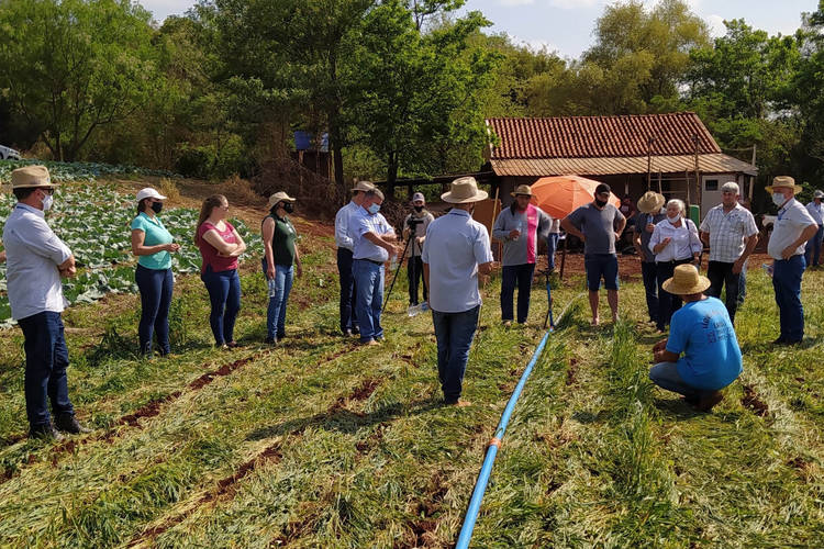 IDR-PR atua para difundir sistema sustentável de produção de hortaliças no Oeste