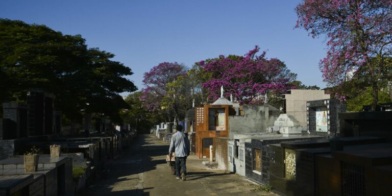 Finados: São Paulo espera 100 mil visitantes nos cemitérios da capital