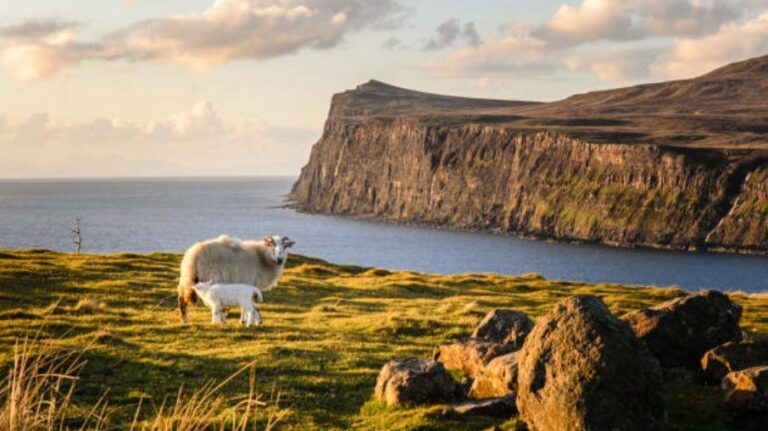 Belas paisagens e história preservada: como conhecer a Escócia pelas ilhas