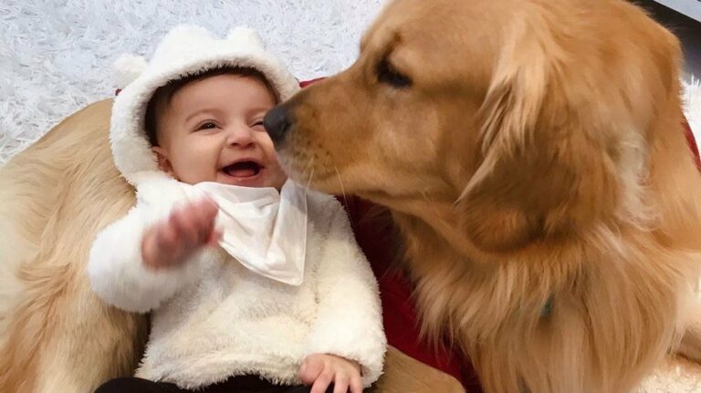 Mãe registra amizade entre bebê e cachorro e web explode de fofura