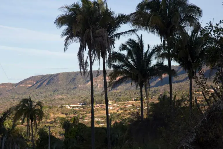 Geopark Araripe: a história da vida na Terra recontada no Ceará