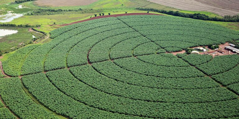 Governo quer aumentar ações de promoção do agro brasileiro no exterior