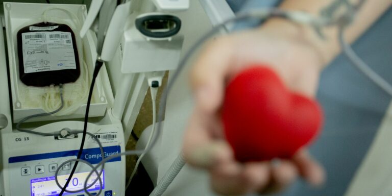 Senado proíbe discriminação a doadores de sangue homossexuais