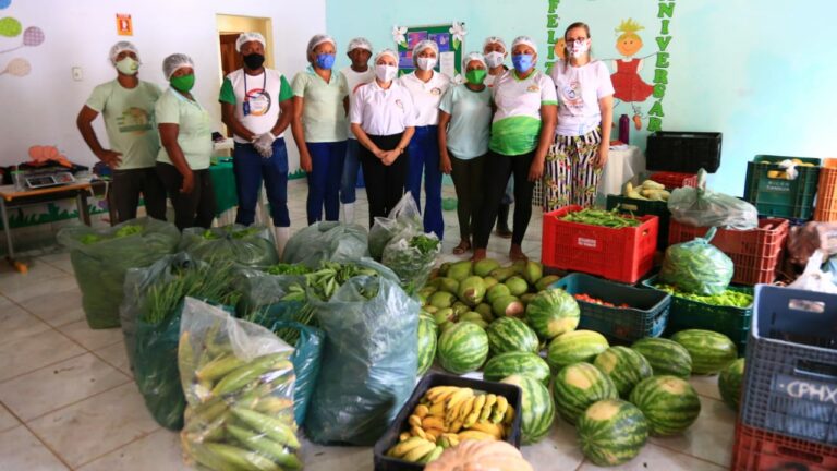 Agricultores familiares da Grande Ilha comercializam 6,5 toneladas de alimentos pelo Procaf