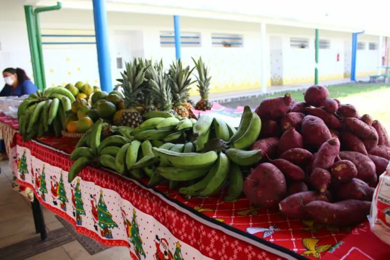 Educação alerta para fim do prazo para aquisição de produtos da agricultura familiar