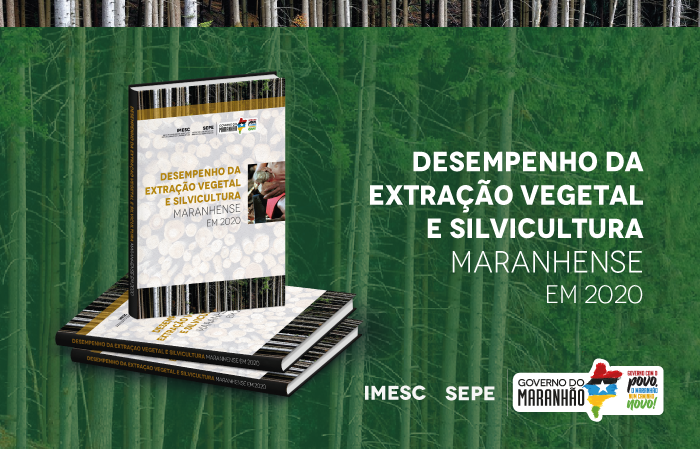 Estudo do IMESC avalia extração vegetal e silvicultura no Maranhão