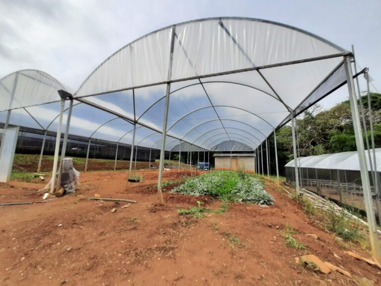 Casas de vegetação que atendem a pesquisas em floricultura da Epamig são reformadas
