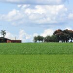 GDF terá plano para desenvolvimento rural sustentável