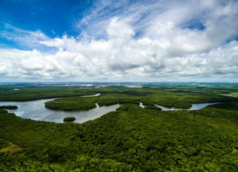 Governo anuncia investimento de R$ 100 milhões da Fapesp para Amazônia