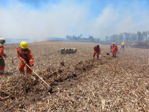 Incêndio no Parque Estadual do Cocó é debelado pelas Forças de Segurança e brigadistas florestais