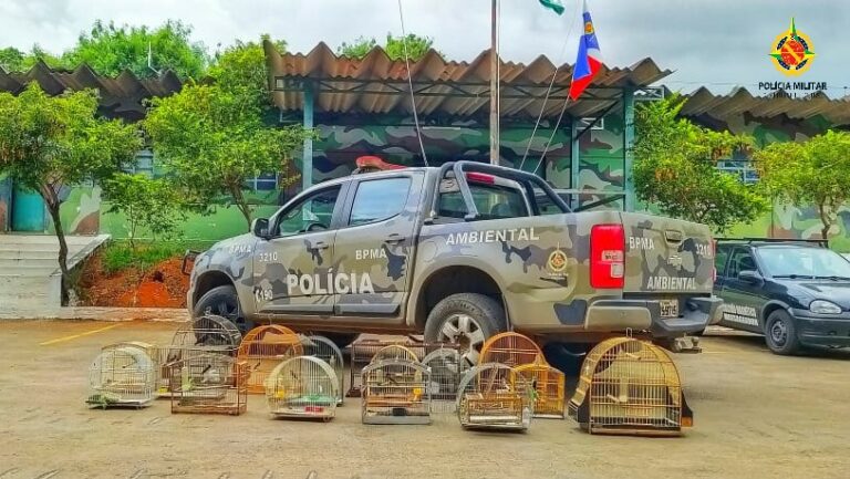 PMDF resgata 16 aves silvestres em criadouros ilegais em Samambaia