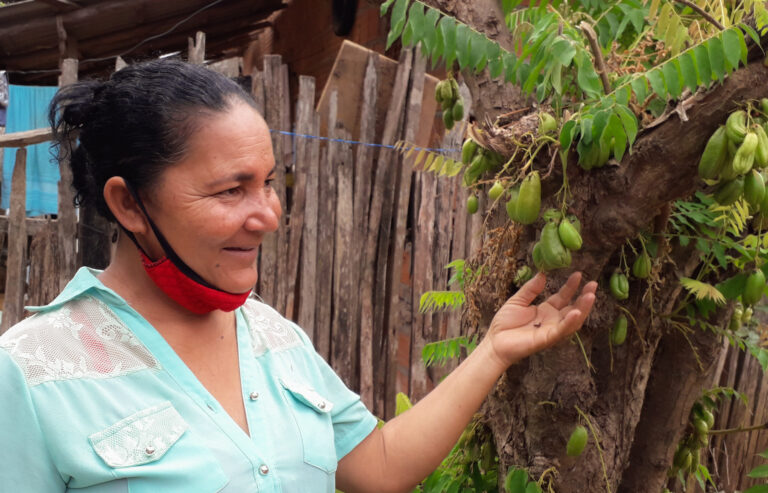 Projeto de extensão resgata a história do assentamento Califórnia sob o olhar de mulheres camponesas
