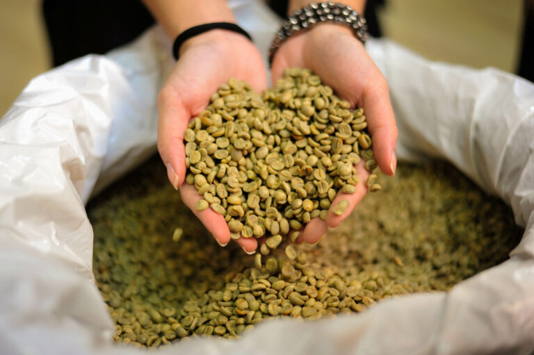 Minas segue como maior produtor de café no Brasil, responsável por 46% da safra 2021
