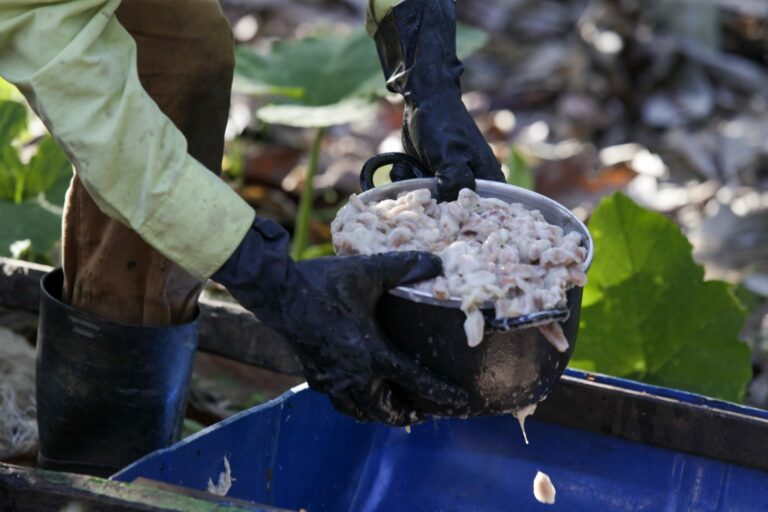 Expedições Gastronômicas revelam potencialidades da agricultura familiar baiana