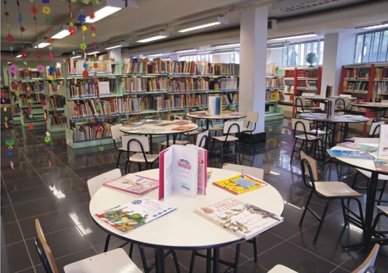 Doação de livros a cidade do interior amplia acesso à leitura