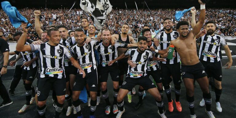 Botafogo bate Operário-PR e garante retorno à Série A do Brasileiro