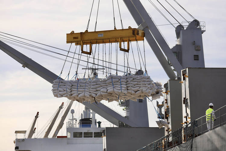 Embarque inédito de gergelim mostra eficiência do Porto de Paranaguá em diferentes tipos de carga