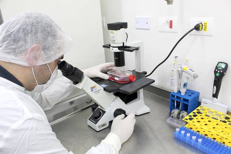 Tecpar seleciona parceria para nacionalizar produção da vacina pentavalente