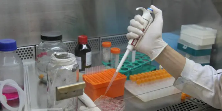 Evento da USP explica a carreira de cientista para meninas
