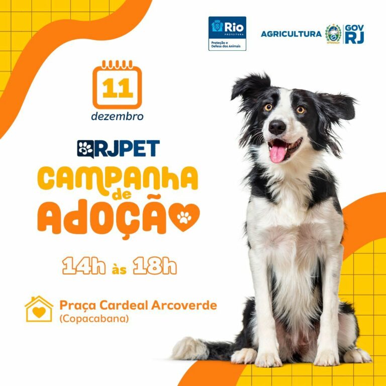 RJPET realiza campanha de adoção de animais neste sábado em Copacabana