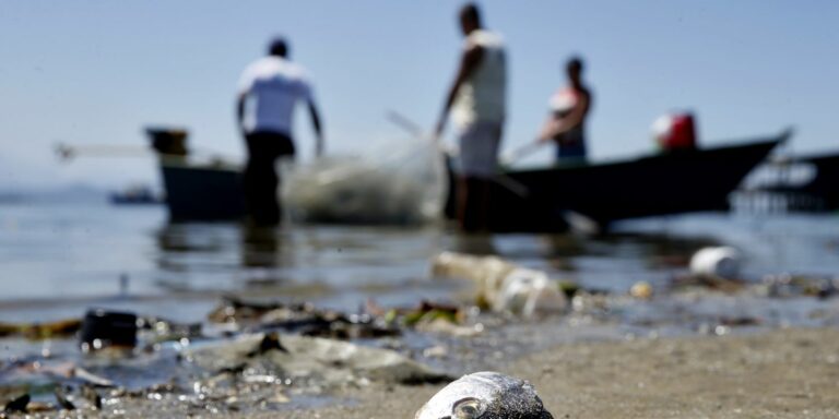 Projeto preserva cultura da pesca artesanal de mexilhões em Niterói