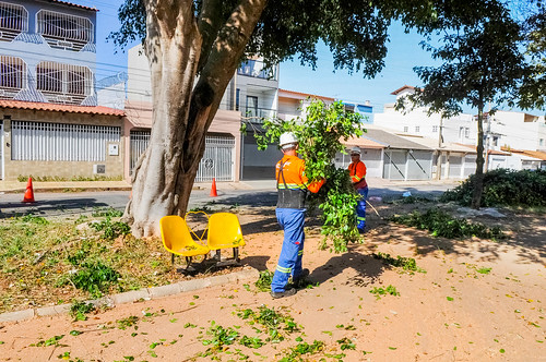 Manutenção deixa praça da QI 11 do Guará I de cara nova