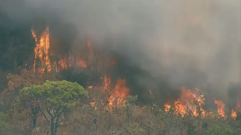 Após 33 horas de combate ao fogo, incêndio no Parque Nacional de Brasília é controlado