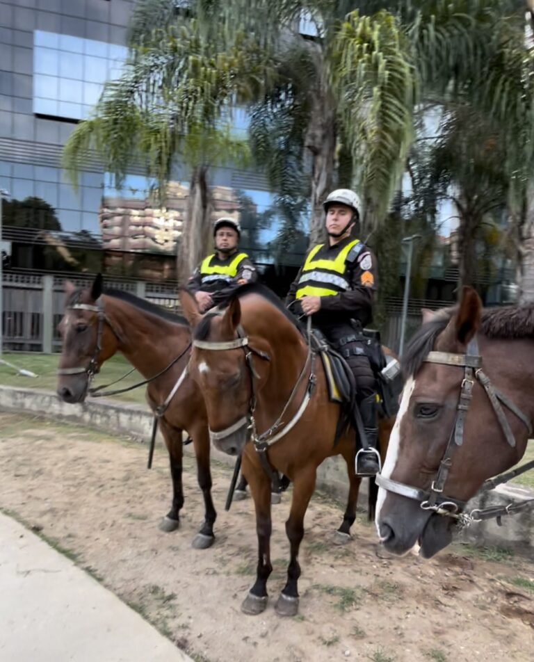Projeto de Lei Federal “Cavalos não são armas” pretende proibir uso de equinos em operações policiais