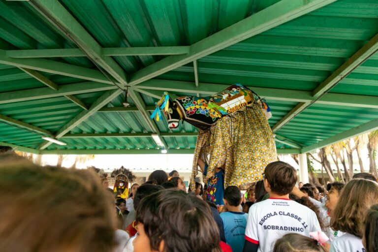 Boi de Seu Teodoro celebra 60 anos com ações de educação em escolas
