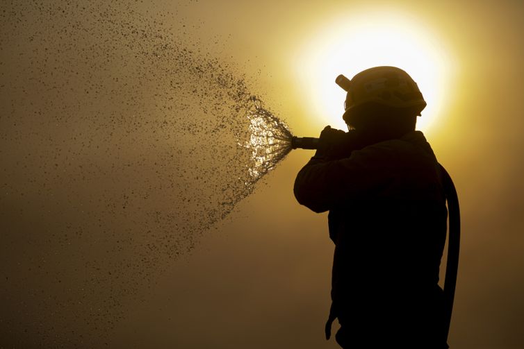 Porto Jofre (MT) 17/11/2023 – Brigadista do ICMBIO fazendo resfriamento do fogo, durante incêndio florestal que atige o Pantanal.
Foto: Joédson Alves/Agência Brasil