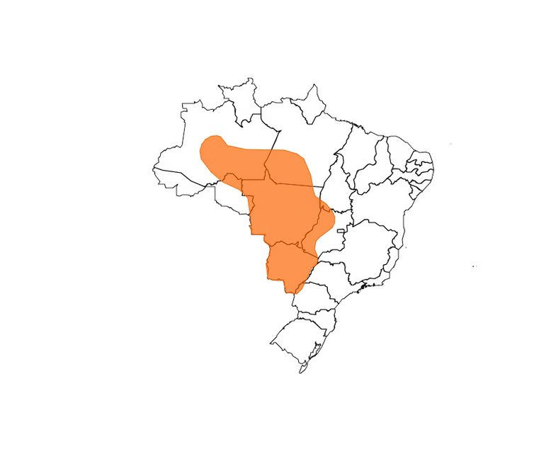 Brasília (DF) 22/11/2024 - Inmet prevê chuva volumosa em todo o Nordeste até sexta-feira
Mapa ALERT-AS/Divulgação