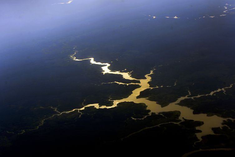 Vista aérea de floresta e rios da Amazônia