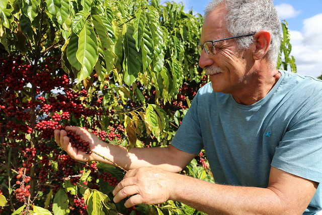 13/06/2024 - Café especial conquista espaço no mercado brasiliense e estimula novas produções rurais