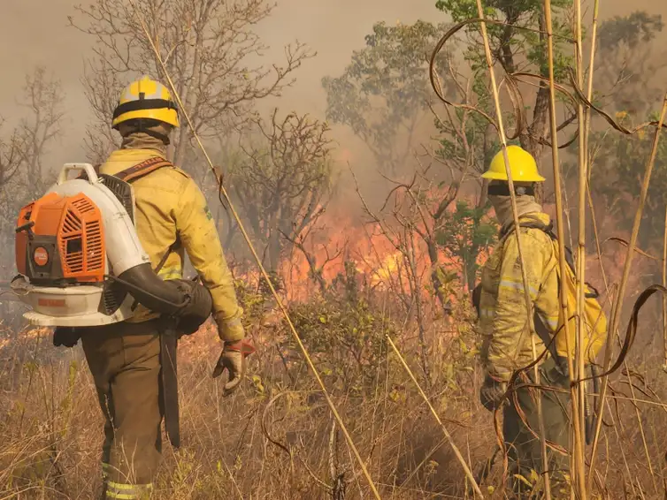 Brasília (DF), 19/09/2024 - Brigadistas do ICMBio tentam conter área queimada durante incêndio no Parque Nacional de Brasília. Foto: ICMBio/Divulgação