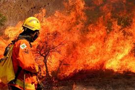 “Crítica Infundada: Governo Federal acusa bombeiros do DF de ‘corpo mole’ em combate ao incêndio no Parque Nacional”