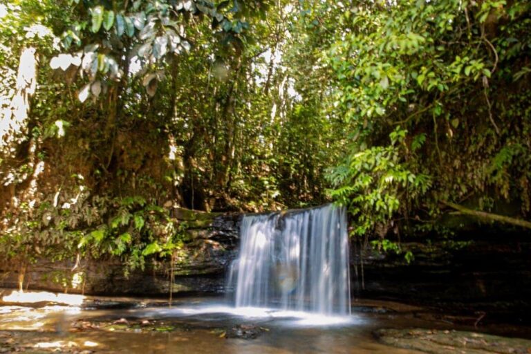 Rumo ao Desmatamento Ilegal Zero: recursos do Fundo Amazônia para combater desmatamento e queimadas seguem em execução prioritária pelo governo do Acre