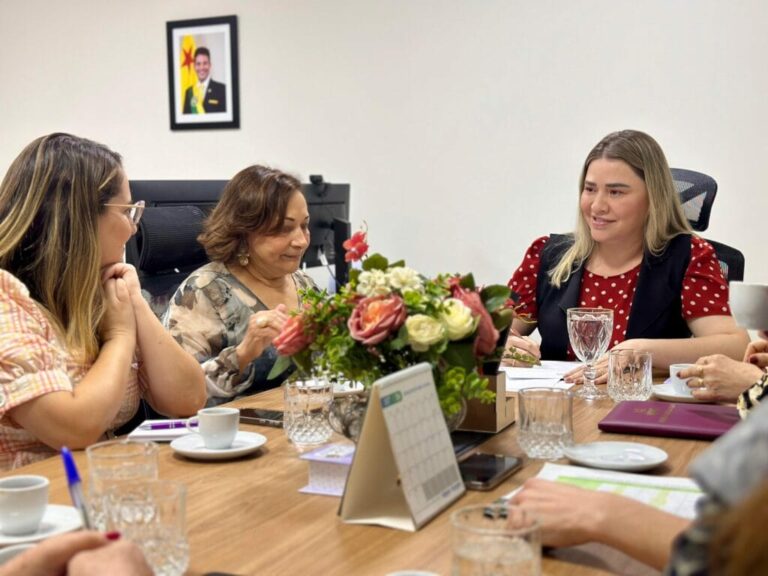 Semulher se reúne com órgãos do Sistema de Justiça para fortalecimento da rede de atendimento à mulher nos municípios isolados