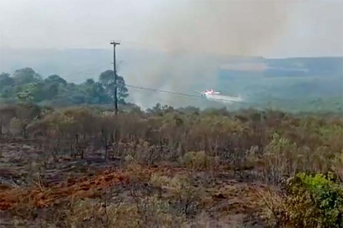 Avião contratado pelo Estado combate incêndio em Palmeira; veja vídeo