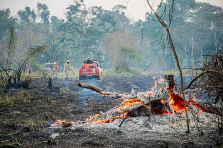 Recursos de quase R$ 11 milhões destinados pela União reforçam ações de combate a queimadas e mitigação da seca no Acre