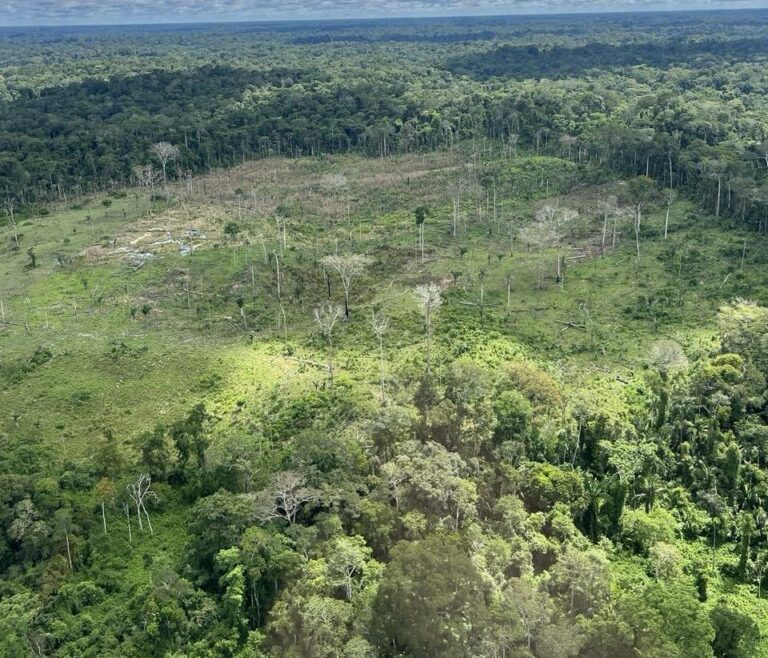 Em apenas 72 horas, governo identifica 50% das áreas com alertas de desmatamento pela Operação Contenção Verde