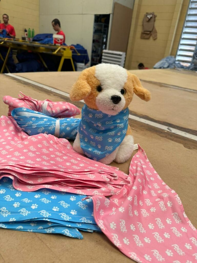 Internos do sistema prisional confeccionam bandanas pets