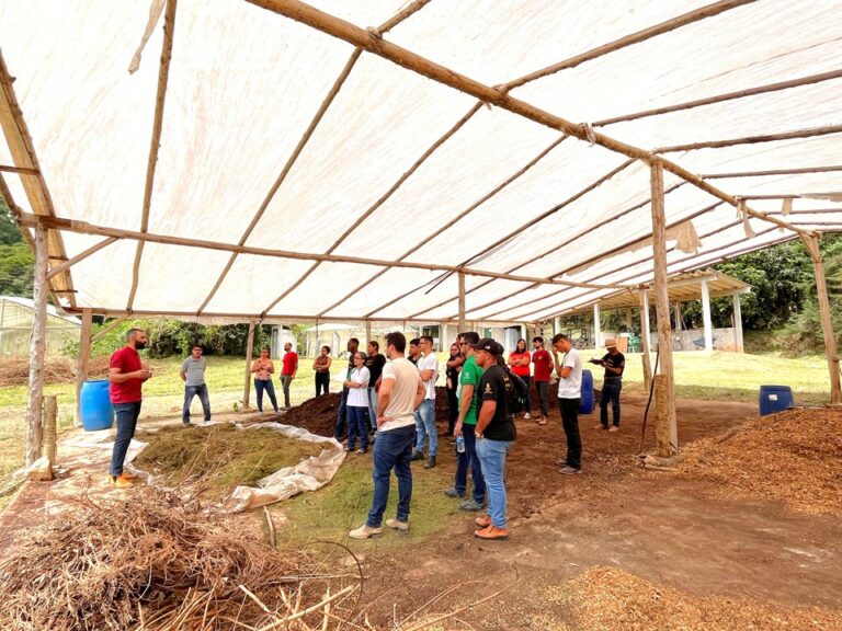 Estudantes do Rio de Janeiro vivenciam práticas agroecológicas em unidade do Incaper