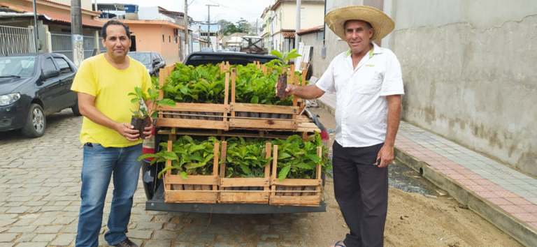 Agricultores de Dores do Rio Preto vivem expectativa da primeira colheita de café conilon