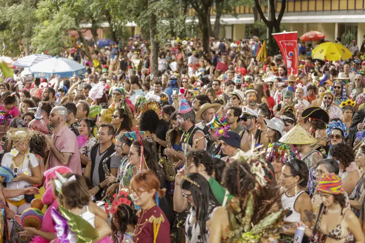 Brasília (DF), 01/03/2025 - Bloco de carnaval, Vai quem fica, nas ruas de Brasília.
Foto: Joédson Alves/Agência Brasil