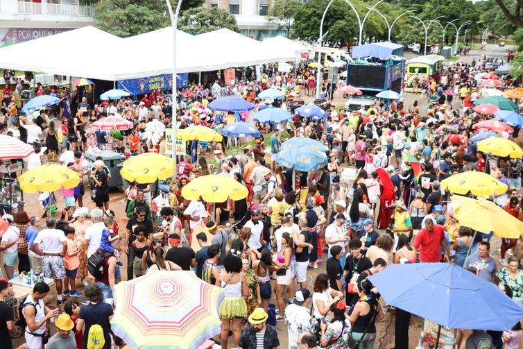 Brasília, (DF) – 10/02/2024 – Carnaval de rua, Galinho de Brasília. Foto Valter Campanato/Agência Brasil.