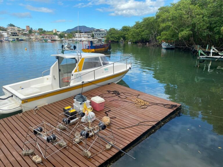 Pesquisa monitora peixes recifais nas Ilhas de Guarapari