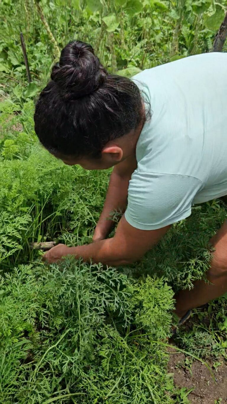 Incaper promove nas próximas semanas Dia Especial das Mulheres nos municípios de Alto Rio Novo e Itapemirim