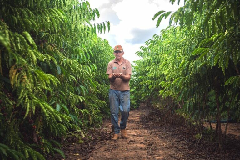 Produção agrícola do Acre cresceu 101% nos últimos 6 anos