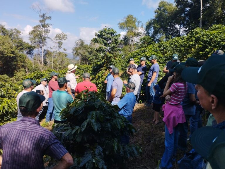 Confira agenda de eventos técnicos para cafeicultores capixabas em abril