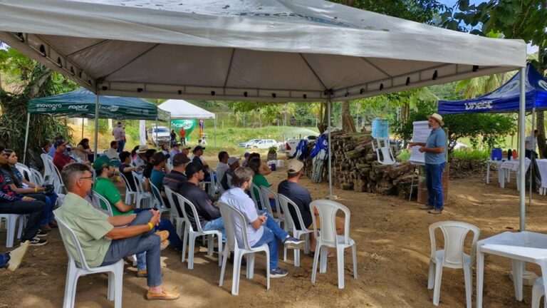 Dia de Campo em Colatina capacita 120 produtores e lança concurso de café conilon